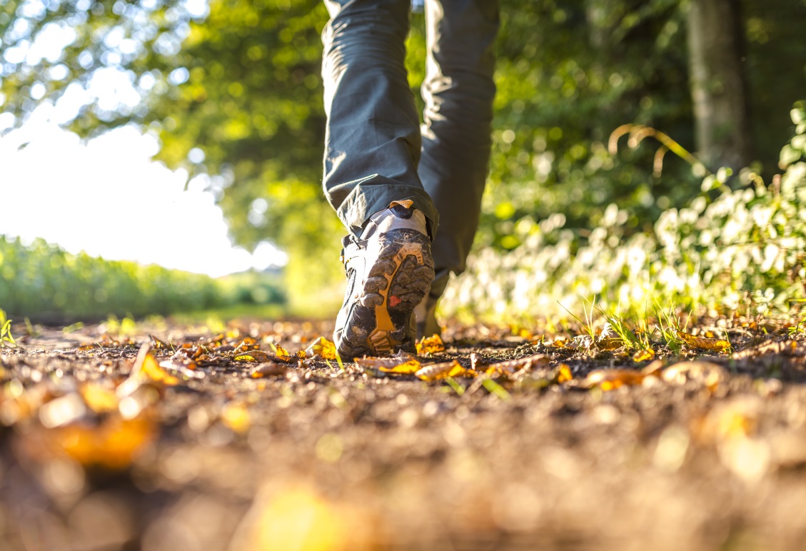 Green Exercise: The Benefits of Walking and Exercising in Nature