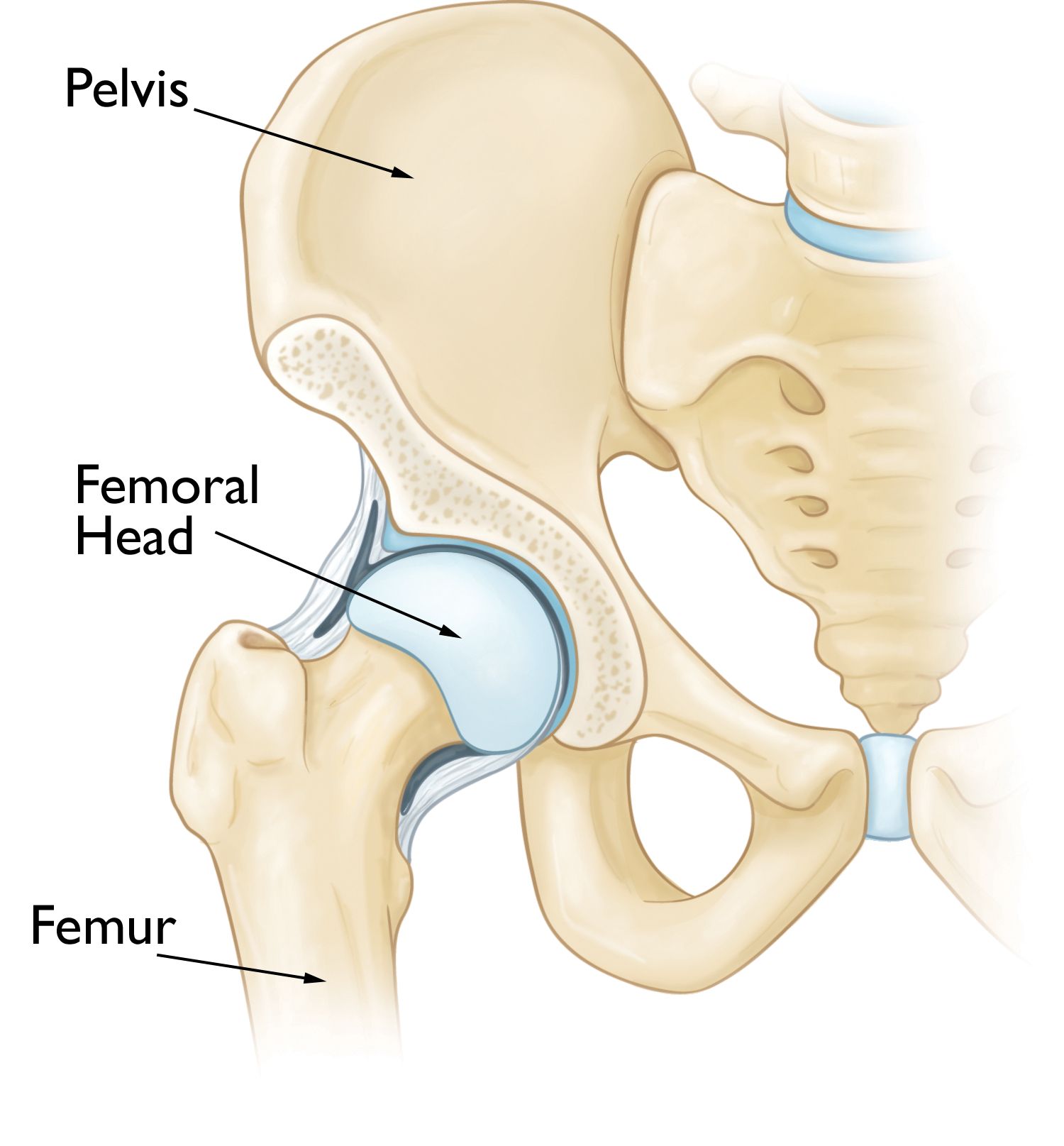 hip pain